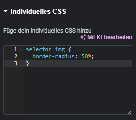 Elementor individuelles CSS mit eingefügtem CSS-Code