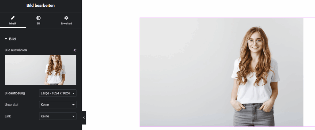 Elementor Editor in WordPress mit geöffnetem Bild-Widget