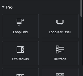 Elementor Pro Widgets ohne Schloss