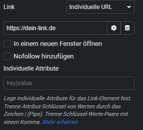 Erweiterte Link-Optionen im Elementor Bild-Widget über Zahnrad öffnen